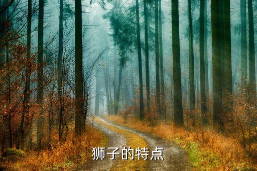 狮子的特点