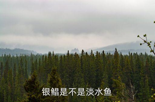 银鲳是不是淡水鱼