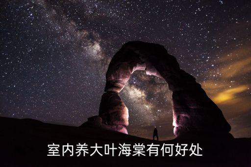 室内养大叶海棠有何好处