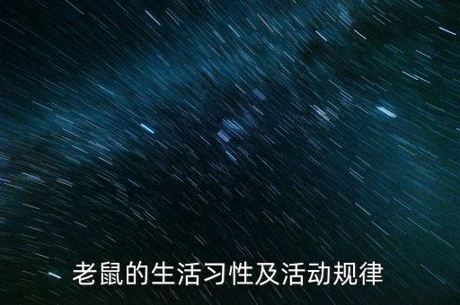 老鼠的生活习性及活动规律