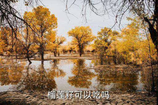 榴莲籽能吃吗，榴莲籽可以吃吗