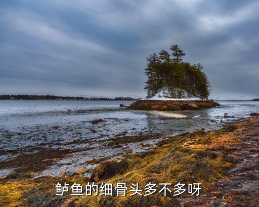 鲈鱼的细骨头多不多呀