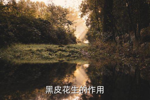 黑花生的功效，黑皮花生的作用