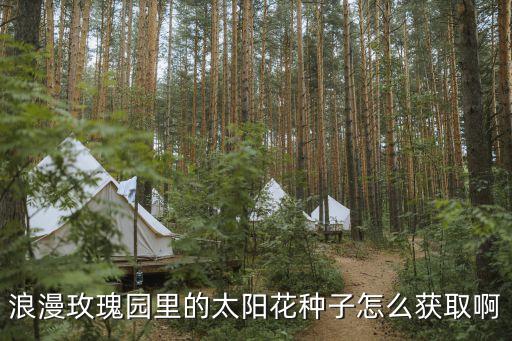 浪漫玫瑰园里的太阳花种子怎么获取啊