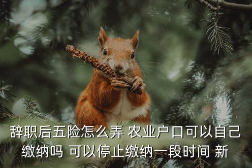 农业保险怎么停交，我是农业户口以前交的五险一金现在想转乘三险那两险能取消吗