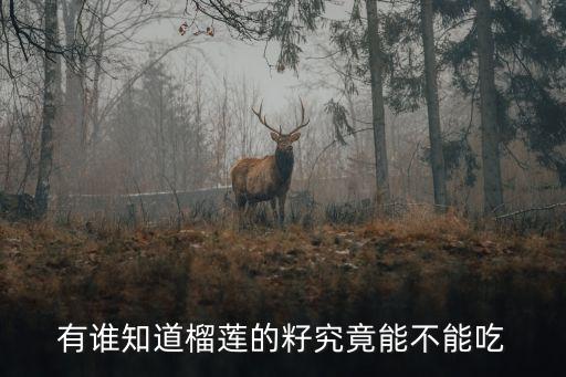 有谁知道榴莲的籽究竟能不能吃