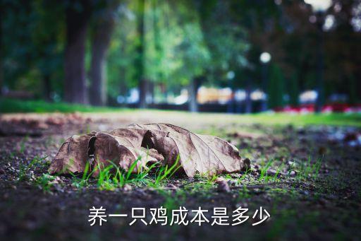 养一只鸡成本是多少