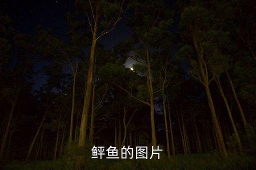 鸭嘴鱼图片，爆炸头有哪几种带图片