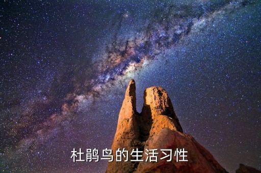 杜鹃鸟的生活习性