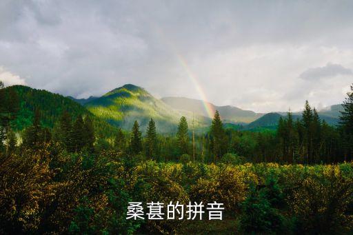 桑葚的拼音