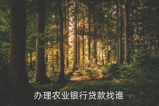 农业部借款怎么找，办理农业银行贷款找谁