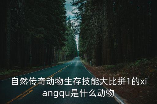 自然传奇动物生存技能大比拼1的xiangqu是什么动物