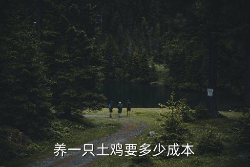 养一只土鸡要多少成本