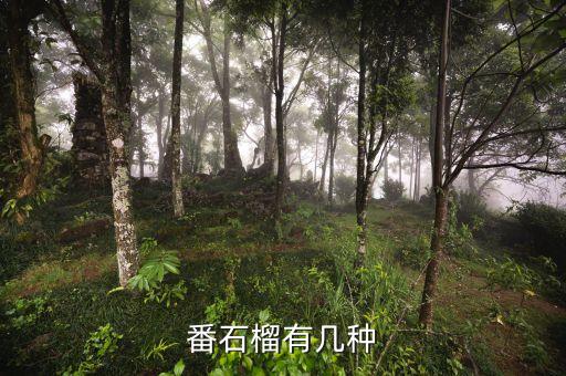 草莓番石榴，草莓和番石榴合成饮料取什么名字好听跪求