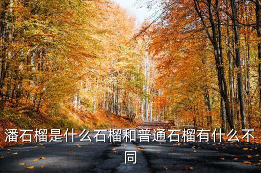 潘石榴是什么石榴和普通石榴有什么不同