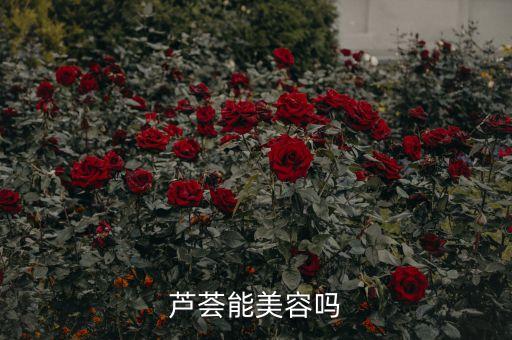 芦荟能美容吗