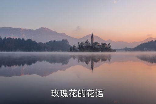 玫瑰花的花语