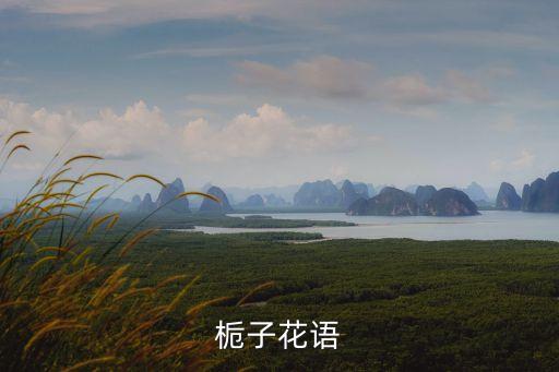 栀子花话语，栀子花的花语都有什么