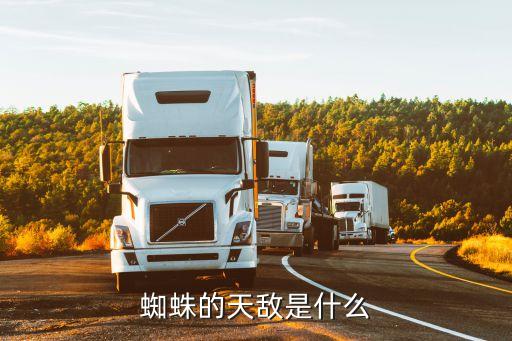 蜘蛛的天敌是谁，蜘蛛的天敌