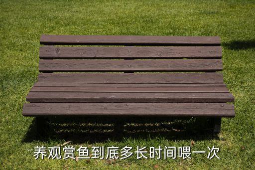 养观赏鱼到底多长时间喂一次
