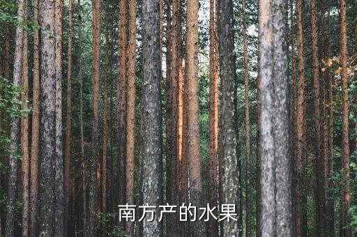 南方产的水果