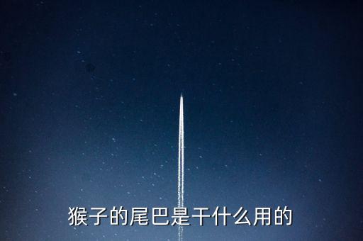猴子的尾巴是干什么用的