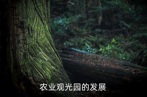 农业观光园的发展