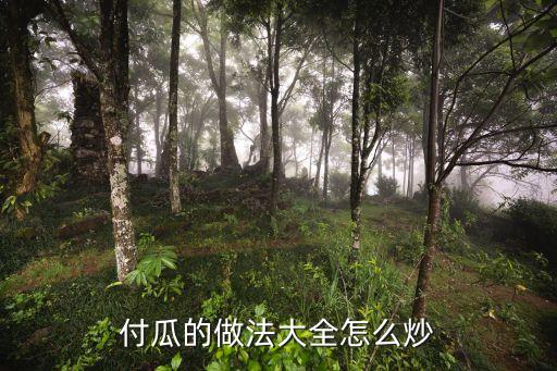 付瓜的做法大全怎么炒