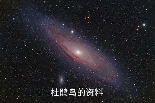 杜鹃鸟的资料