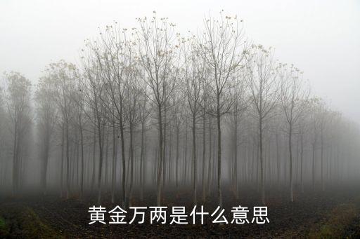 黄金万两是什么意思