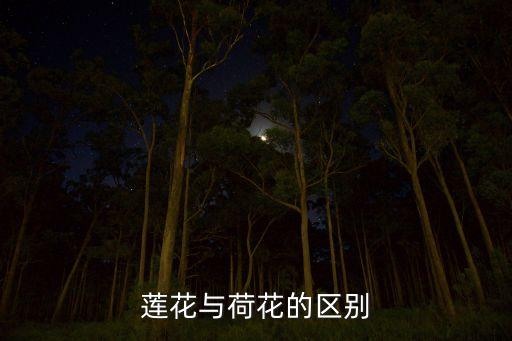 莲花与荷花的区别