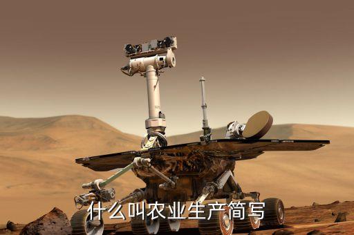 什么叫农业生产简写