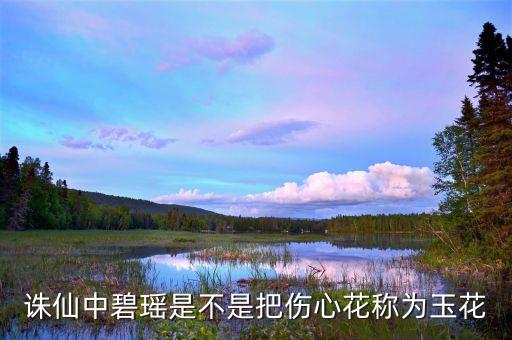 诛仙中碧瑶是不是把伤心花称为玉花