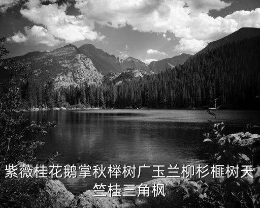 鹅掌秋，黄花梨和鹅掌秋那种材质好