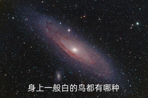 白色的鸟，什么鸟是白色的而且是家养的观赏鸟