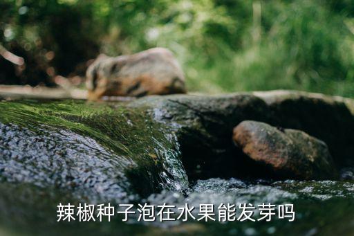 辣椒种子，什莫样的 甜椒种子好
