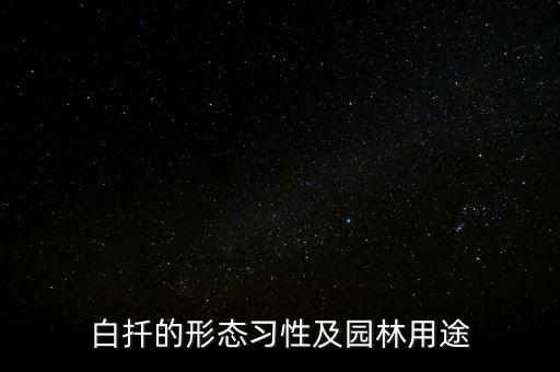 白扦，白扦云杉的价值用途