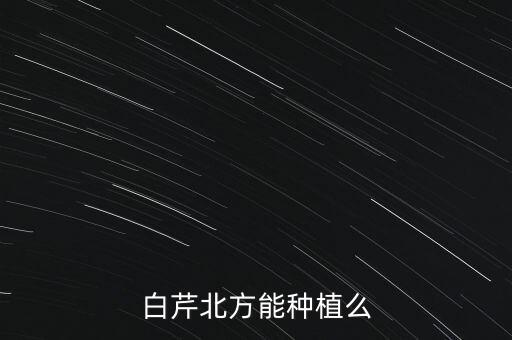 白芹，白芹可以包馄饨吗