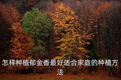 怎样种植郁金香最好适合家庭的种植方法