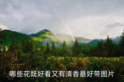 美丽的花图片，什么花最漂亮图片