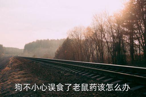 狗吃了老鼠药怎么办，狗不小心误食了老鼠药该怎么办