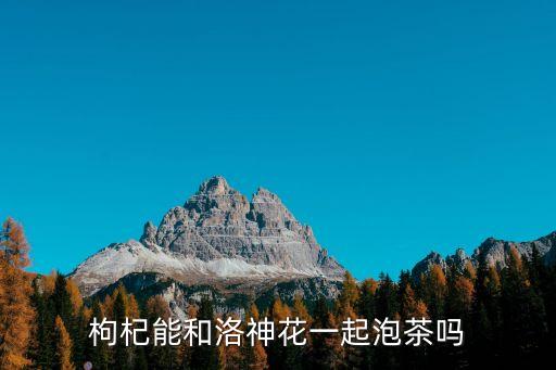 枸杞能和洛神花一起泡茶吗