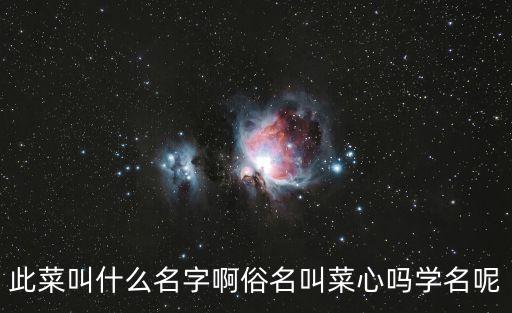 此菜叫什么名字啊俗名叫菜心吗学名呢