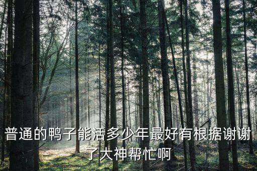 鸭子能活几年，鸭子能活几年
