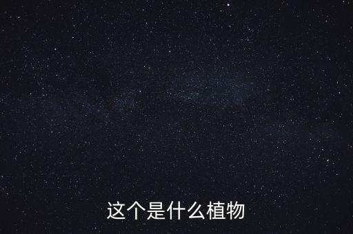 这个是什么植物
