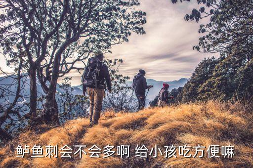 鲈鱼刺会不会多啊 给小孩吃方便嘛