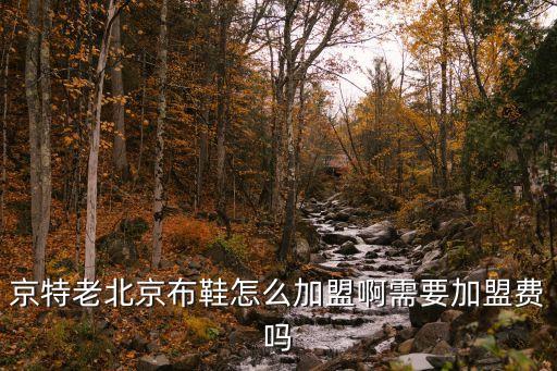 京特老北京布鞋怎么加盟啊需要加盟费吗