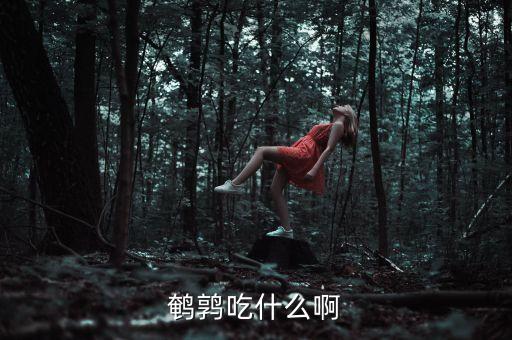 鹌鹑吃什么啊