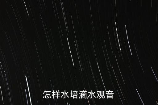 怎样水培滴水观音