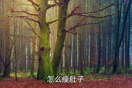 河南农业大学怎么样瘦肚子，怎样瘦肚子